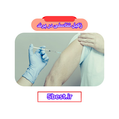 زگیل تناسلی در پرند