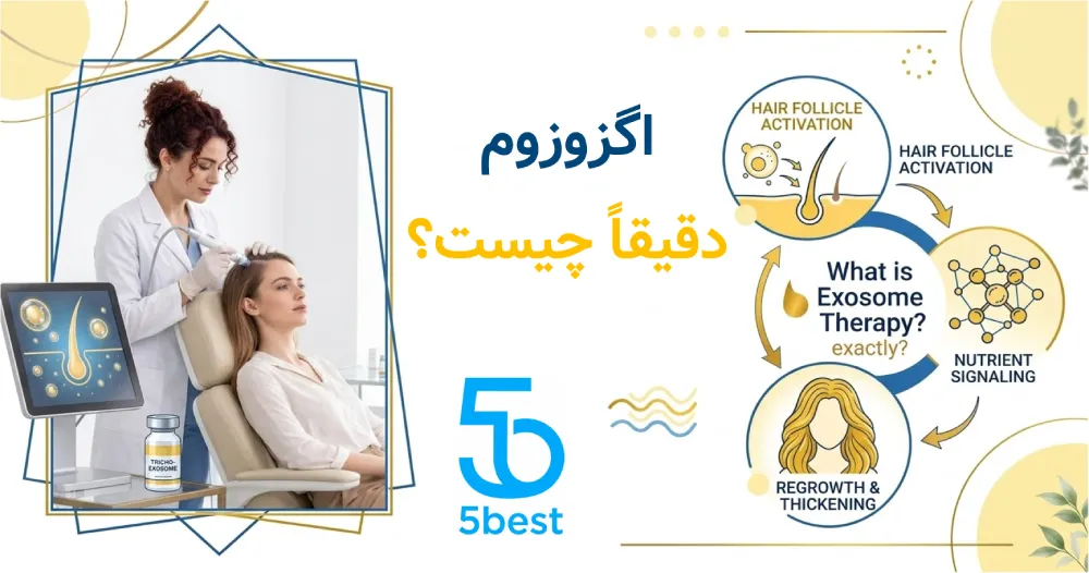 اگزوزوم دقیقا چیست؟